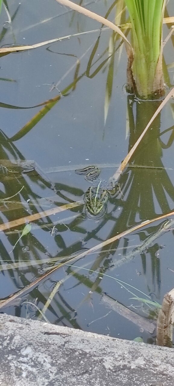 Гостиница Уют Внуково-175