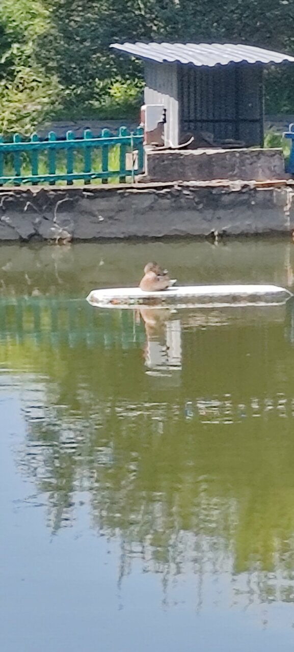 Гостиница Уют Внуково-179