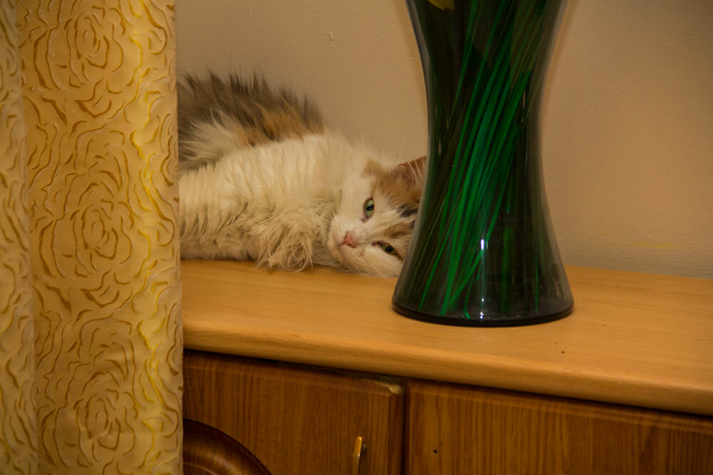 Гостиница Уют Внуково-11