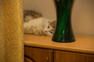 Гостиница Уют Внуково-7