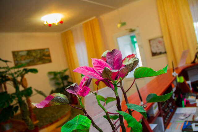 Гостиница Уют Внуково-56