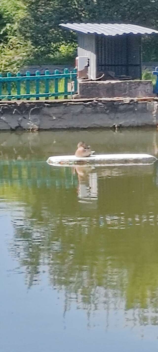 Гостиница Уют Внуково-178